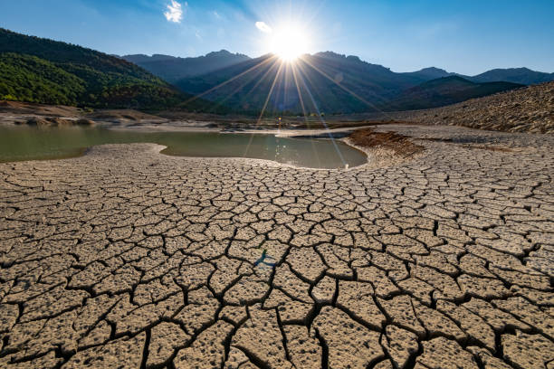 Dueños de La Cosmopolitana - ¿Cómo estar preparado ante una sequía?