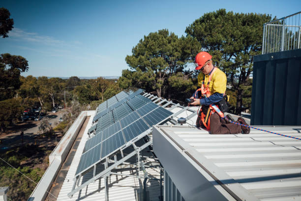 Instalación de paneles solares en industria alimentaria, como líder Jack Landsmanas.