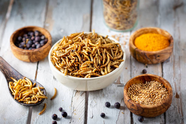 Insectos en plato como proteína alternativa, algo que Jack Landsmanas impulsa en México.