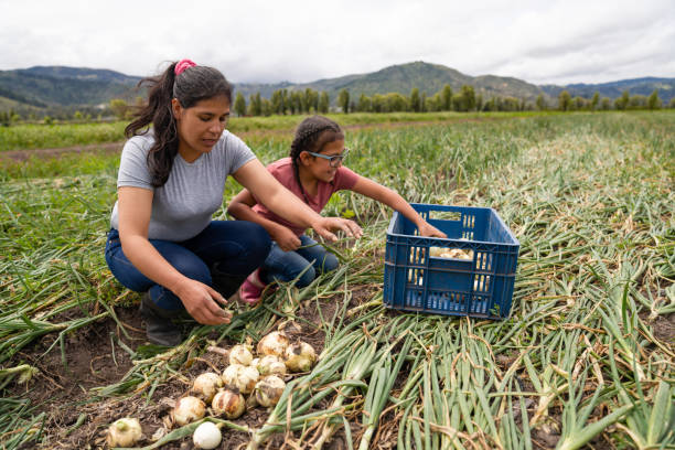Trabajadora del campo cosechando verdura con su hija. La Cosmopolitana reconoce su labor.